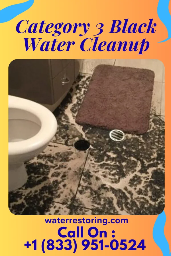 Category 3 Black Water Cleanup in Fonda, IA