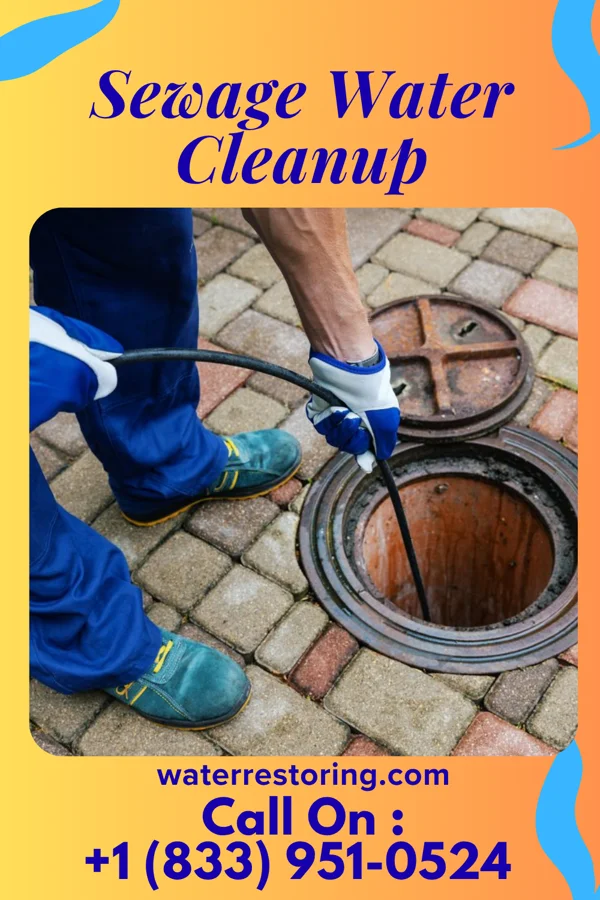 Sewage Water Cleanup in Fonda, IA