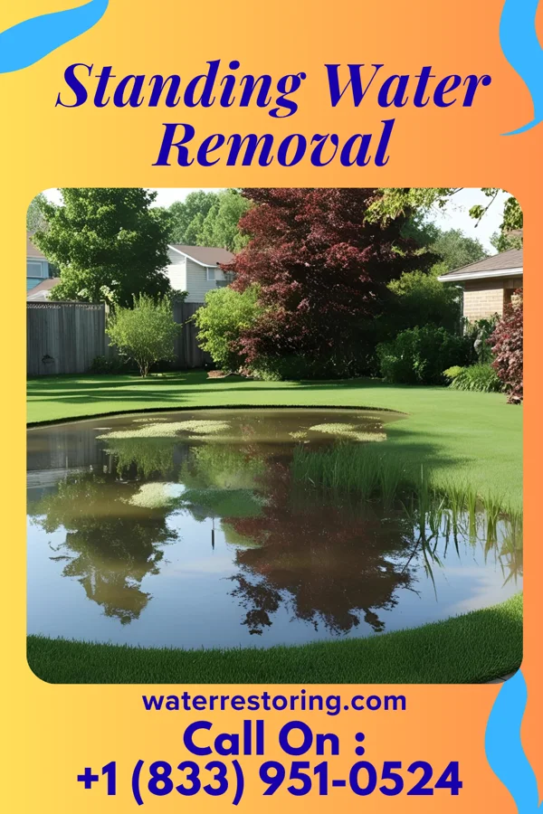 Standing Water Removal in Fonda, IA